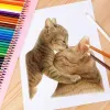 Set of 48 watercolor wood color brushes M&G