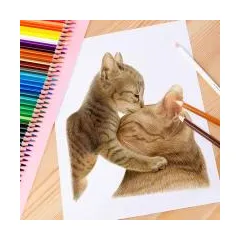 Set of 48 watercolor wood color brushes M&G