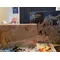 Toshiba 32TL515U 32" Class 1080P 3D LED HD TV, 86 image