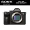 Sony Alpha a7 III Mirrorless Digital Camera (Body Only)